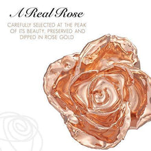 Load image into Gallery viewer, Real Rose Hand Dipped in Rose Gold | A Genuine Forever Rose to Last a Lifetime - CHARMERRY