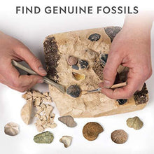 Load image into Gallery viewer, NATIONAL GEOGRAPHIC Mega Fossil Dig Kit – Excavate 15 Real Fossils Including Dinosaur Bones & Shark Teeth, Educational Toys, Great Gift for Girls and Boys, an AMAZON EXCLUSIVE Science Kit - CHARMERRY