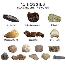 Load image into Gallery viewer, NATIONAL GEOGRAPHIC Mega Fossil Dig Kit – Excavate 15 Real Fossils Including Dinosaur Bones &amp; Shark Teeth, Educational Toys, Great Gift for Girls and Boys, an AMAZON EXCLUSIVE Science Kit - CHARMERRY
