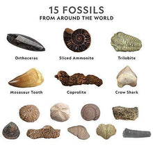 Load image into Gallery viewer, NATIONAL GEOGRAPHIC Mega Fossil Dig Kit – Excavate 15 Real Fossils Including Dinosaur Bones & Shark Teeth, Educational Toys, Great Gift for Girls and Boys, an AMAZON EXCLUSIVE Science Kit - CHARMERRY