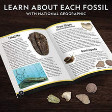 Load image into Gallery viewer, NATIONAL GEOGRAPHIC Mega Fossil Dig Kit – Excavate 15 Real Fossils Including Dinosaur Bones & Shark Teeth, Educational Toys, Great Gift for Girls and Boys, an AMAZON EXCLUSIVE Science Kit - CHARMERRY