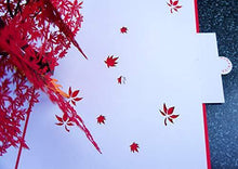 Load image into Gallery viewer, Japanese Maple 3D Pop Up Happy Anniversary Card | Wedding, Valentines, Birthday - CHARMERRY
