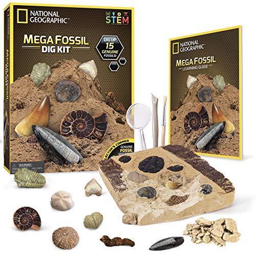 NATIONAL GEOGRAPHIC Mega Fossil Dig Kit – Excavate 15 Real Fossils Including Dinosaur Bones & Shark Teeth, Educational Toys, Great Gift for Girls and Boys, an AMAZON EXCLUSIVE Science Kit - CHARMERRY